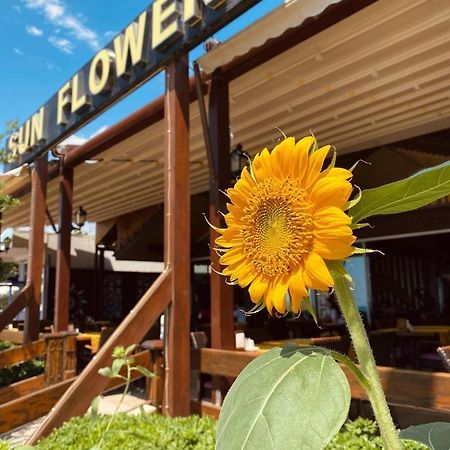Sun Flower Apart Hotel Σιντέ Εξωτερικό φωτογραφία
