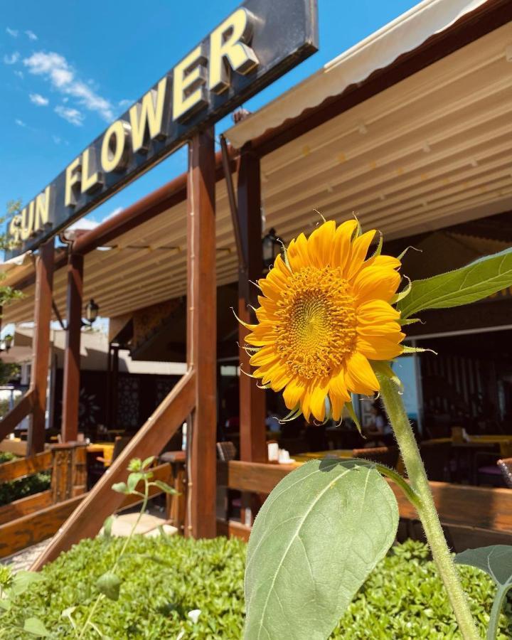 Sun Flower Apart Hotel Σιντέ Εξωτερικό φωτογραφία